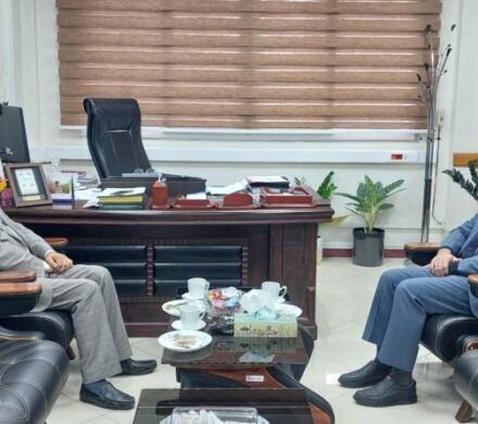 عمران عباسی کالی: مجلس حامی تأمین اجتماعی در رفع ناترازیهاست